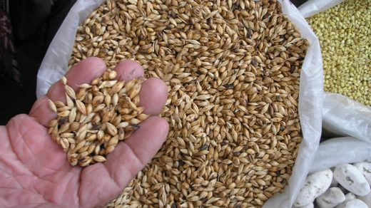 Una pizca de especias comunes y no comunes (y algún que otro exponente)