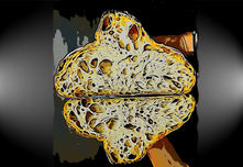 El secreto mejor guardado de Bergantiños